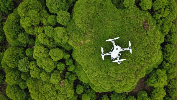 Démoussage par drone à nantes : efficacité et sécurité assurées